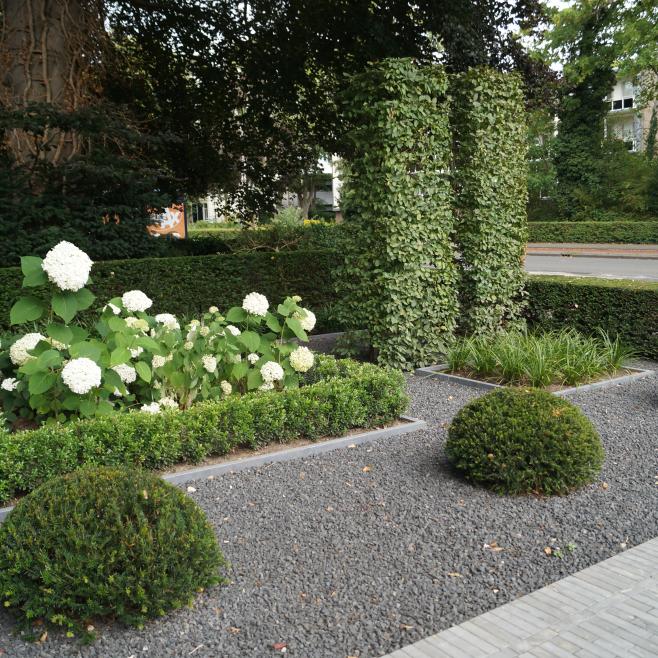 Borderbeplanting met blokbomen